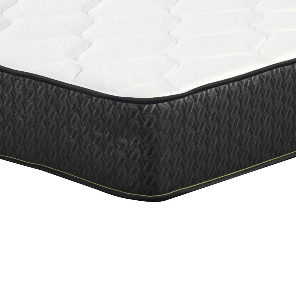 Santa Barbara - 6" FULL TIGHT TOP FOAM MATTRESS