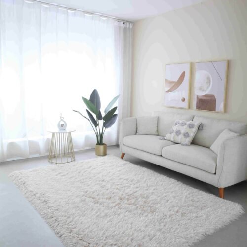 MEILIN-S SHAGGY Rug